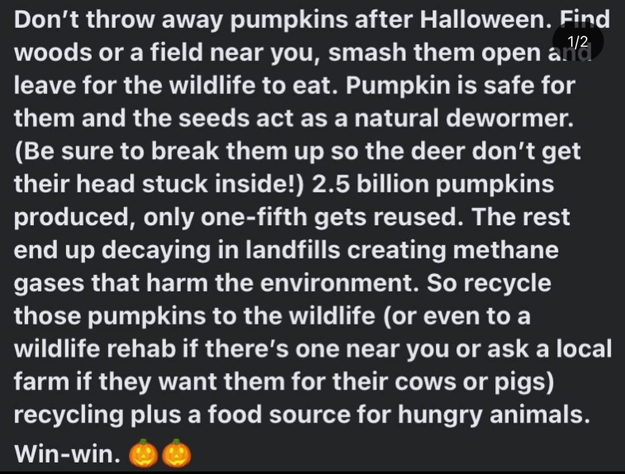Name:  Pumpkin Recycle.jpg
Views: 3093
Size:  234.6 KB