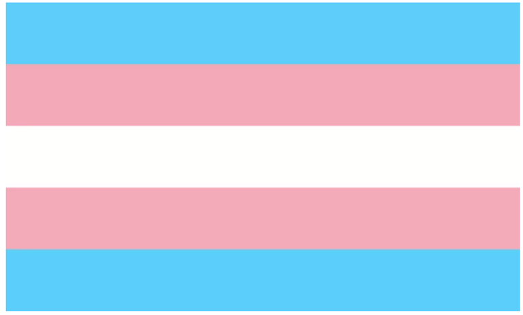 Name:  TheTransgenderFlag.png
Views: 9571
Size:  3.8 KB