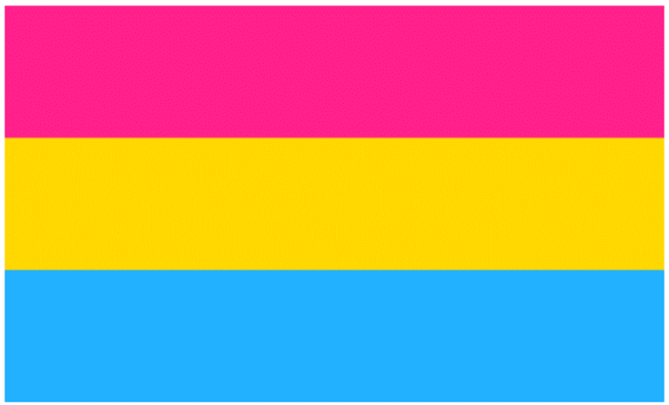 Name:  ThePansexualFlag.png
Views: 9603
Size:  29.0 KB