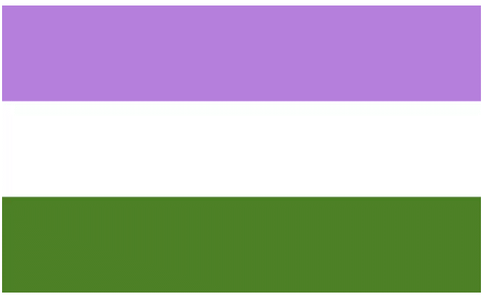 Name:  TheGenderQueerPrideFlag.png
Views: 9515
Size:  3.5 KB