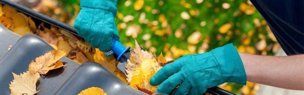 Name:  Autumn1.jpg
Views: 3676
Size:  38.0 KB